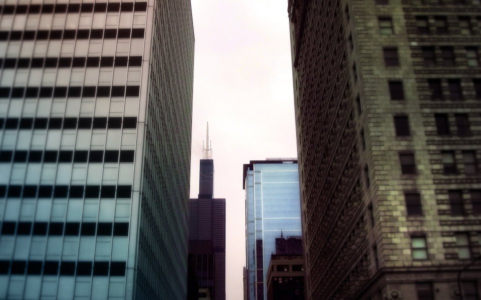 Willis Tower Chicago Cityscape