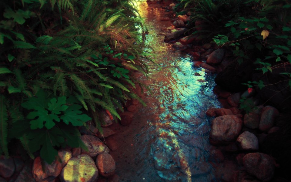 Backyard Adventureland Forest Stream Natural Scenery