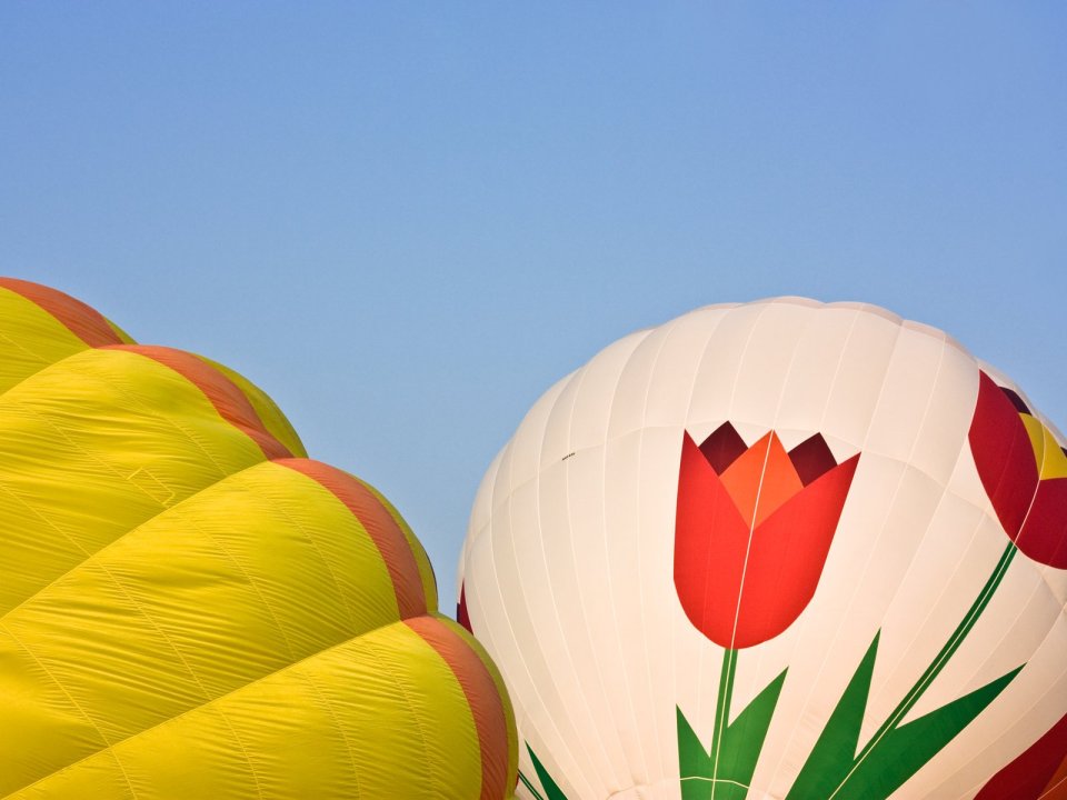 Hot Air Balloons With Tulip Pattern Under Clear Blue Sky