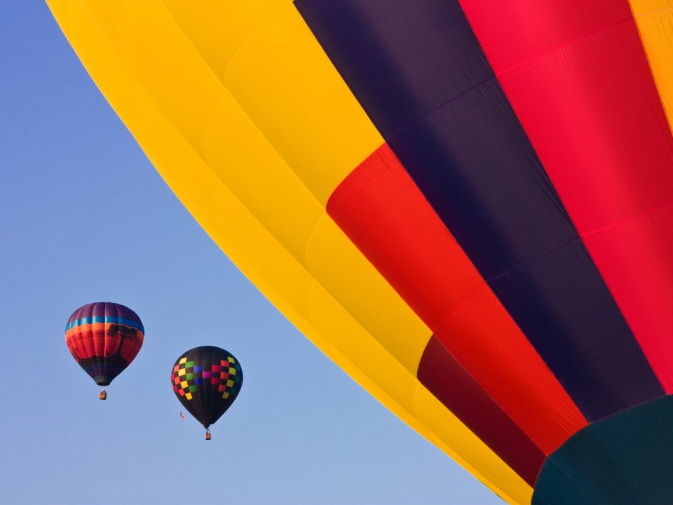 Colorful Hot Air Balloons Flying Under Clear Blue Sky