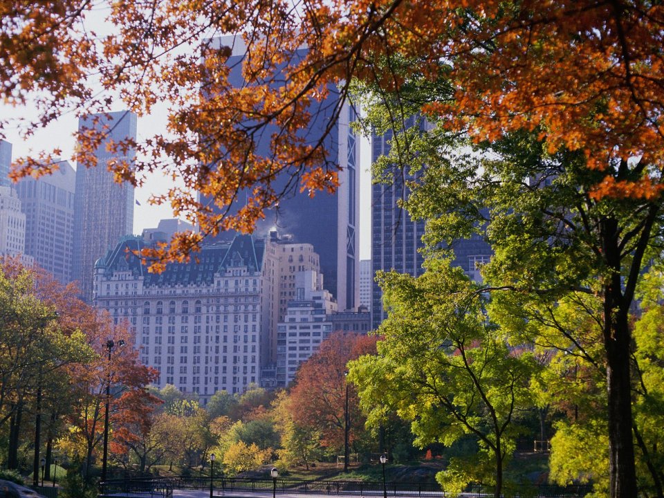 Central Park Autumn New York Cityscape