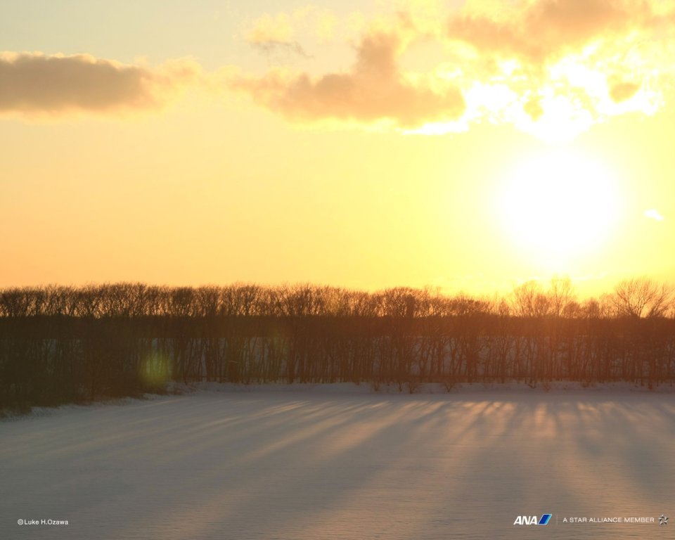 日本北海道冬日夕阳雪原