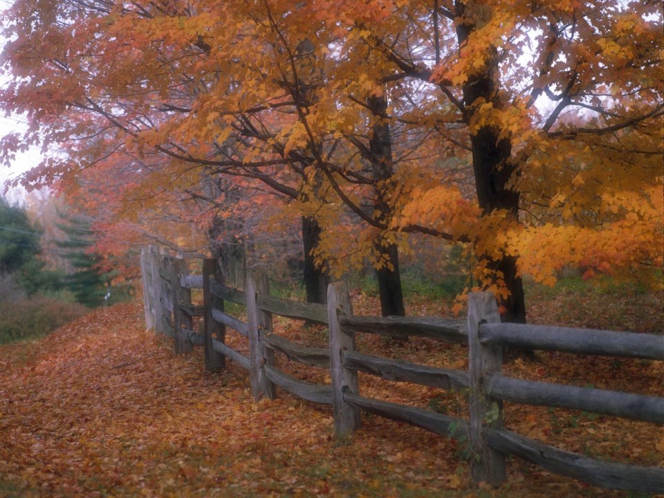 Autumn Country Fence Ohio