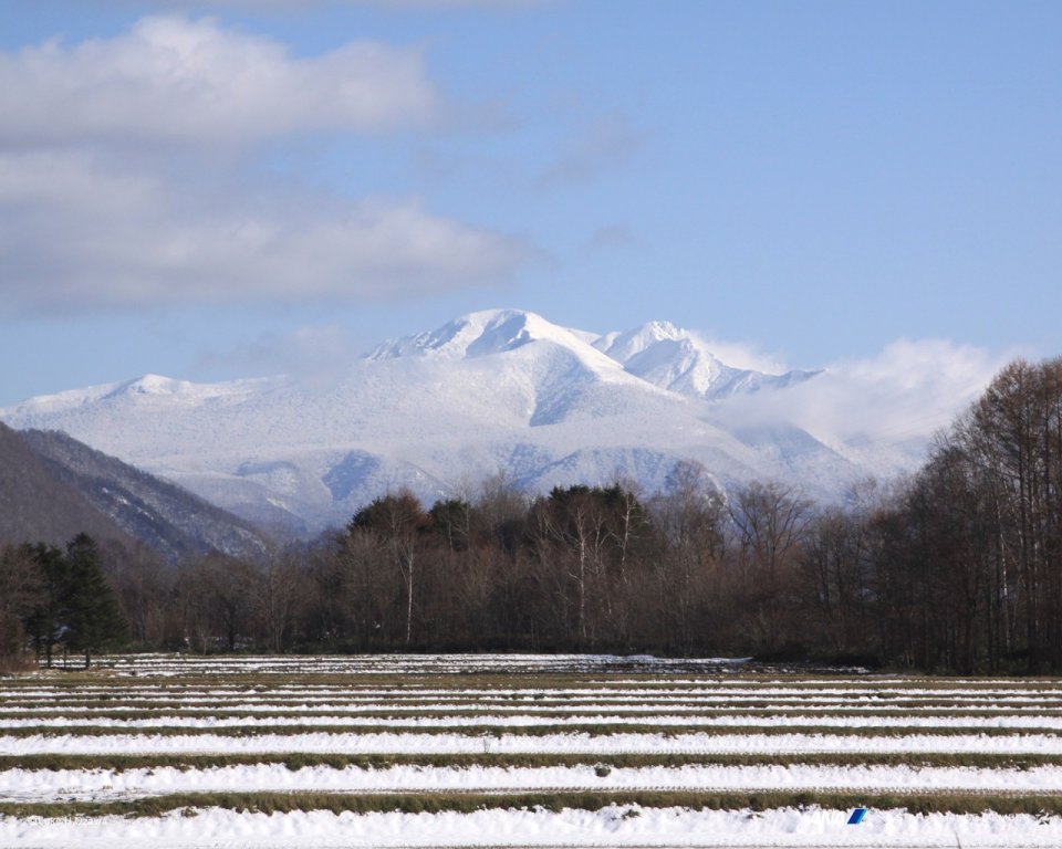日本北海道大雪山冬季雪景