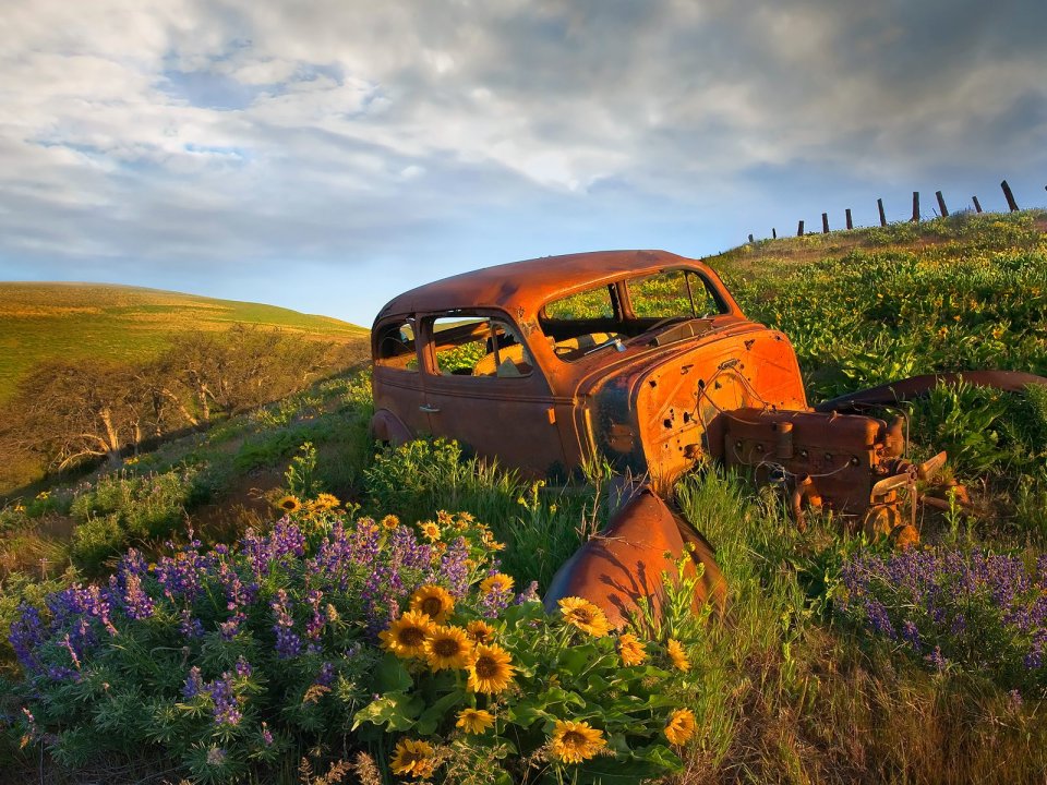 Abandoned Car In Dalles Hills Washington