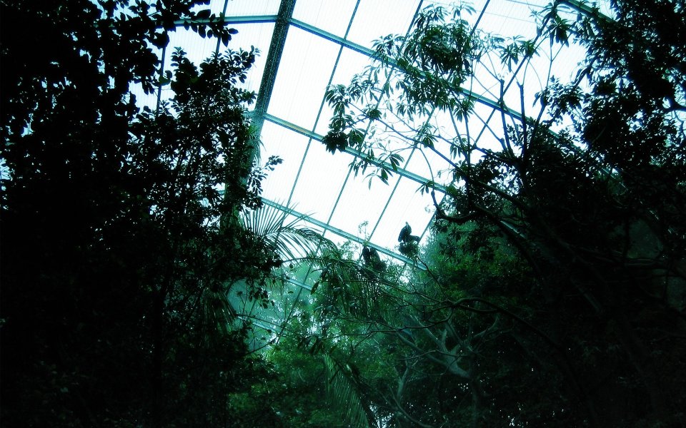 Botanical Garden Glass Greenhouse Interior