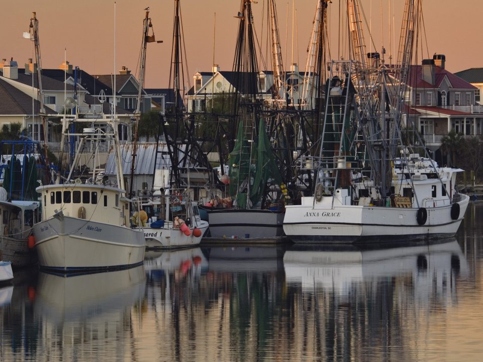 Fishing Boats At Sunrise Shem Creek