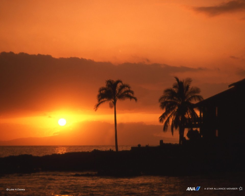 夏威夷海滨夕阳剪影