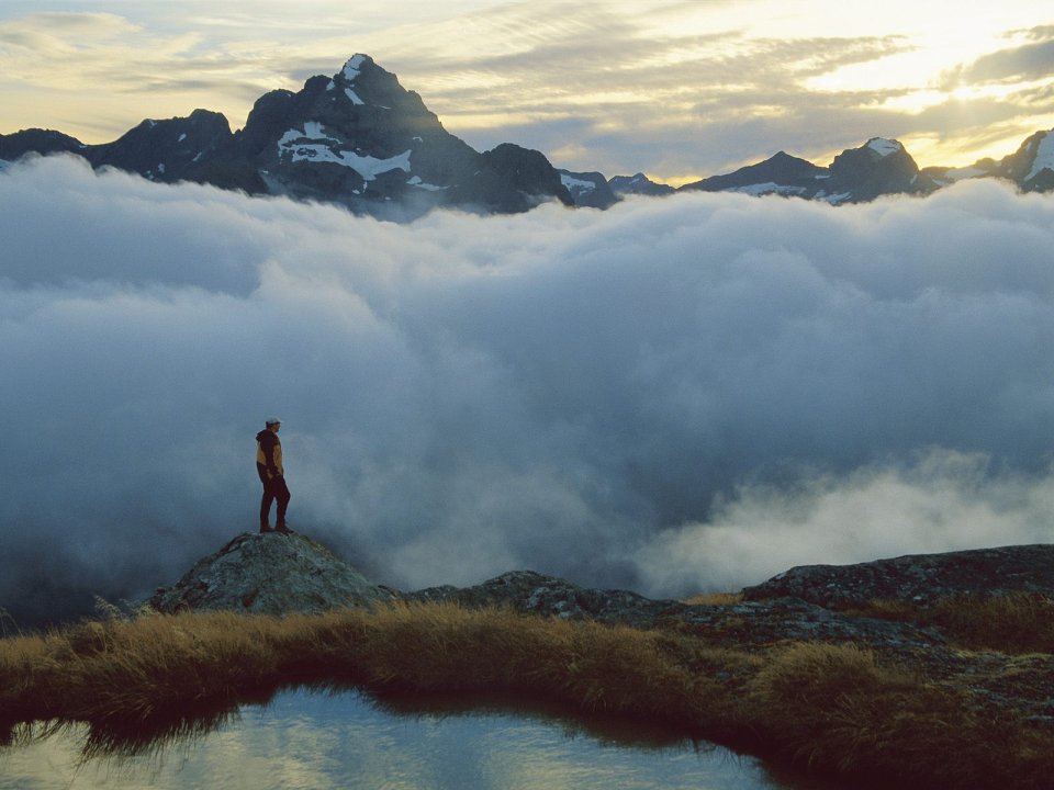 Hollyford Valley Fjordland National Park New Zealand Sea Of Clouds