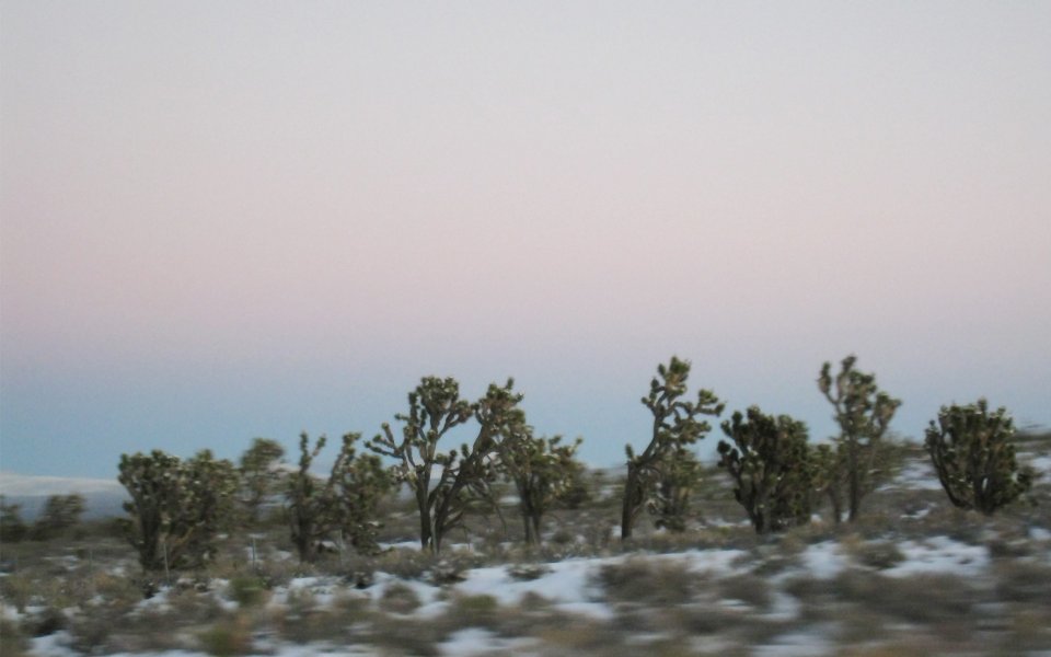 Joshua Winters Dusk Desert Joshua Trees Snow Scene