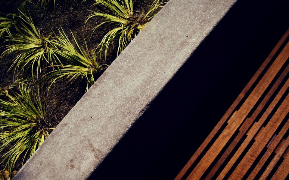 Modern Garden Ornamental Grass Concrete Wood Structure Closeup