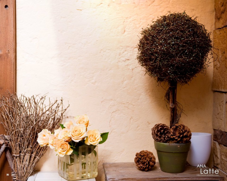 Cozy Indoor Still Life Roses And Potted Plant
