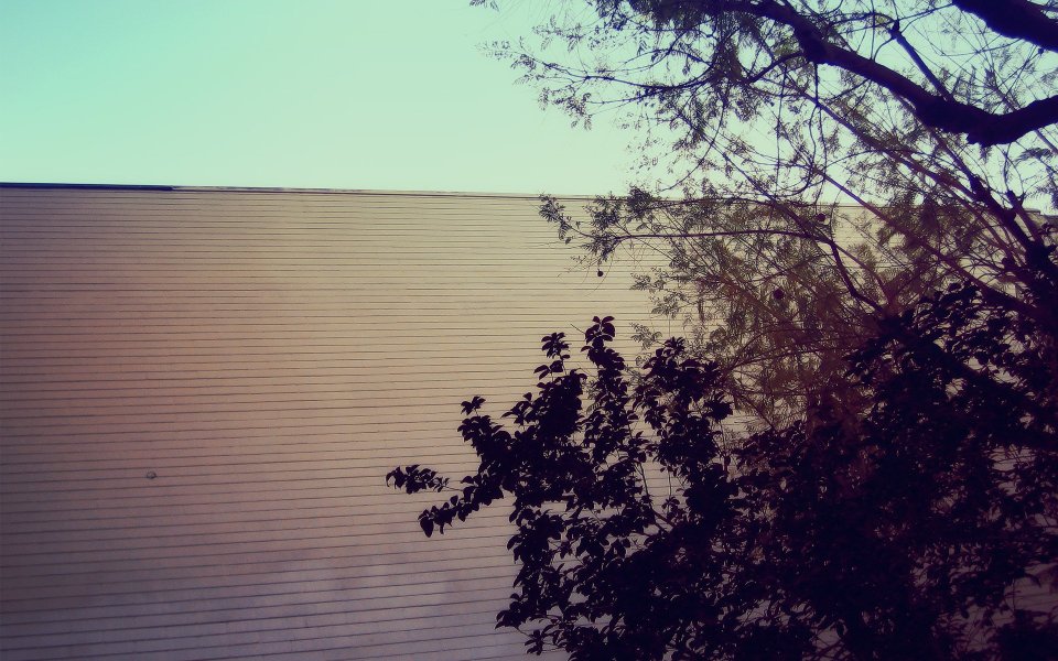 Minimalist Building Wall And Tree Silhouette