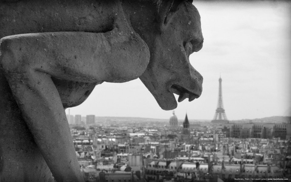 Notre Dame Gargoyle And Eiffel Tower