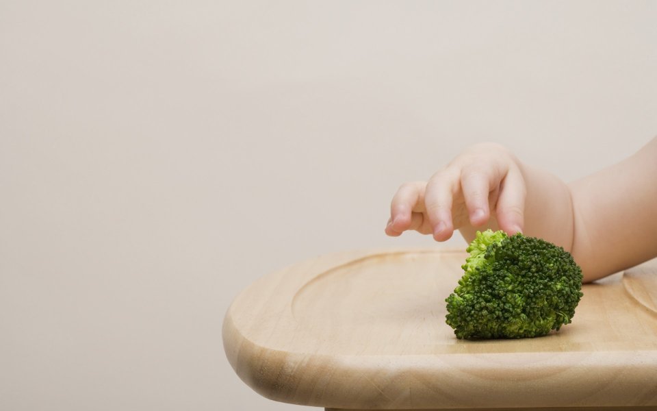 Baby Hand Reaching For Broccoli Baby Complementary Food Photography