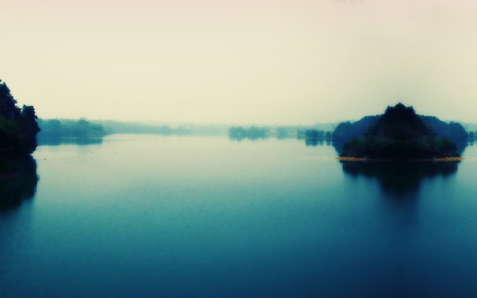 Misty Lake And Forest Landscape