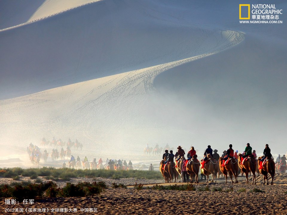 China Dunhuang Mingsha Mountain Desert Camel Caravan Morning Scenery