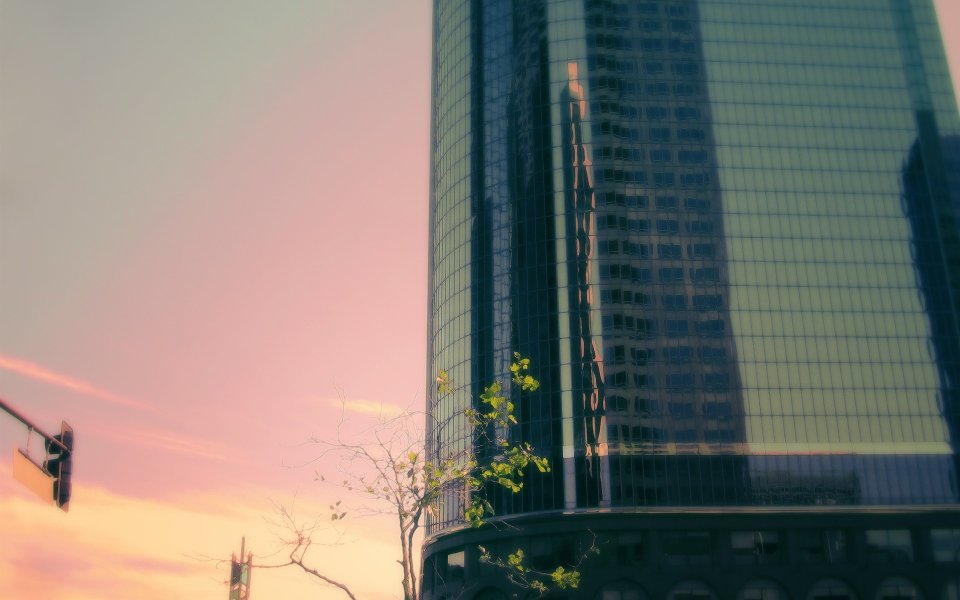 Modern Skyscraper At Sunset