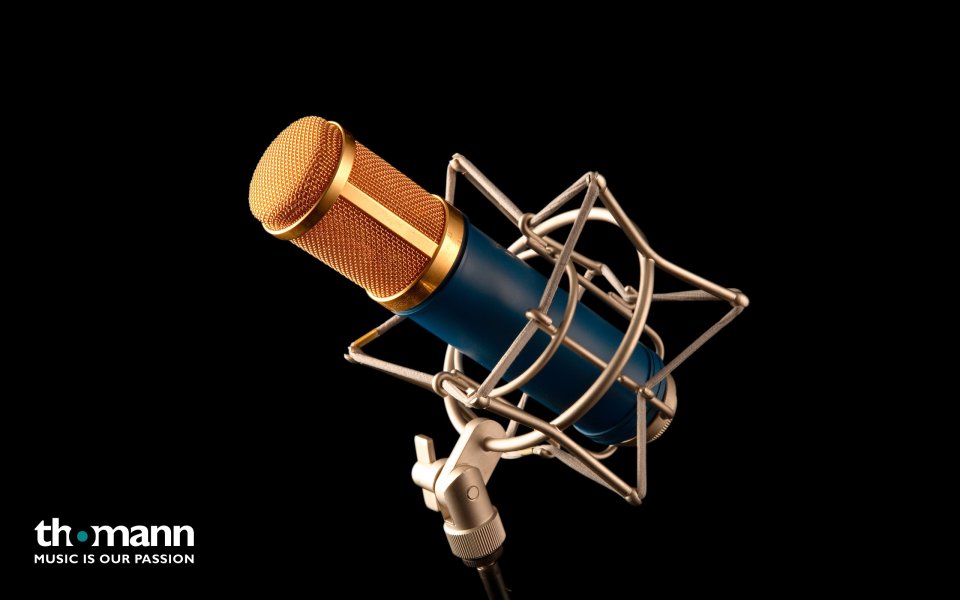 High End Professional Condenser Microphone Closeup Photo