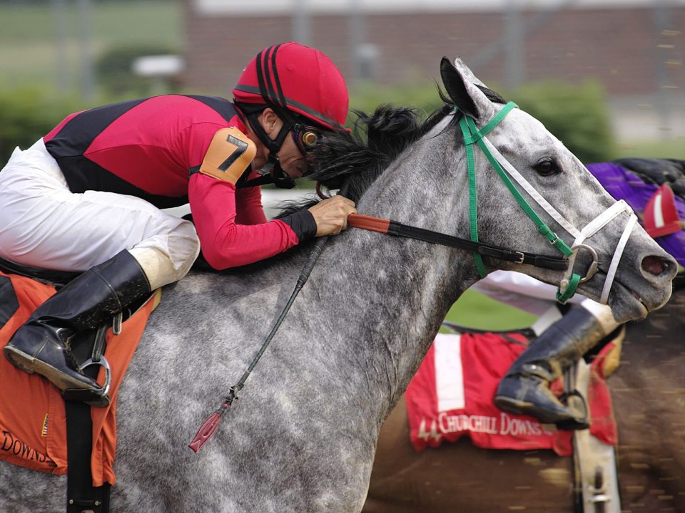 Race Day Churchill Downs Louisville Kentucky Horse Racing