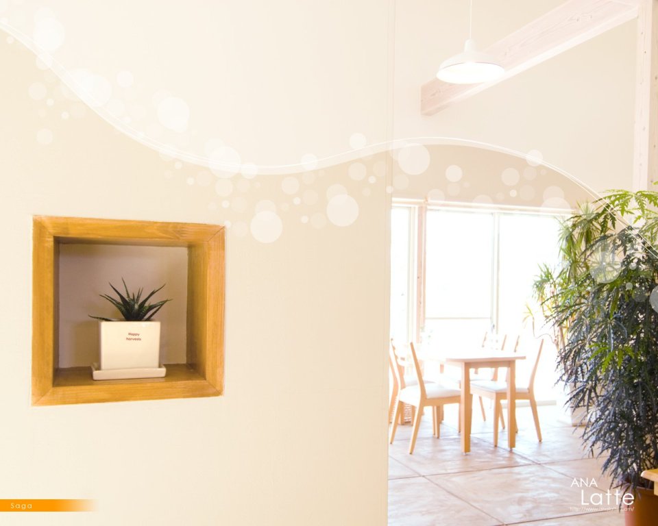 Cozy Minimalist Wooden Interior Decor
