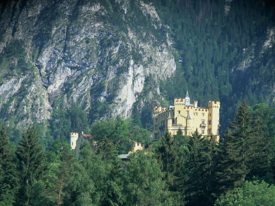 Hohenschwangau Castle Alpine Forest Scenery Germany