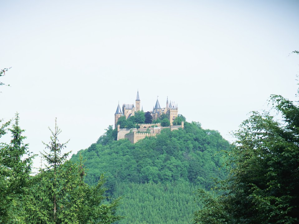 Hohenzollern Castle Germany Hill Forest Scenery