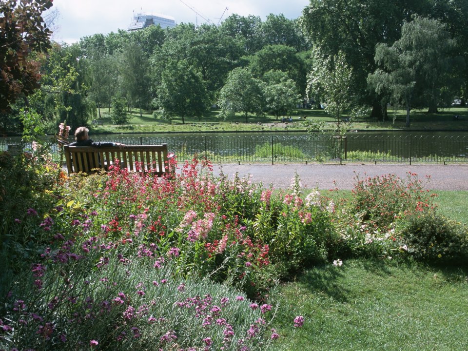 London Public Park Lakeside Summer Scenery
