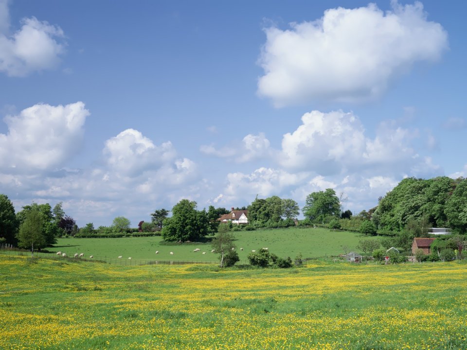Sunny Summer Uk Rural Pastoral Scenery