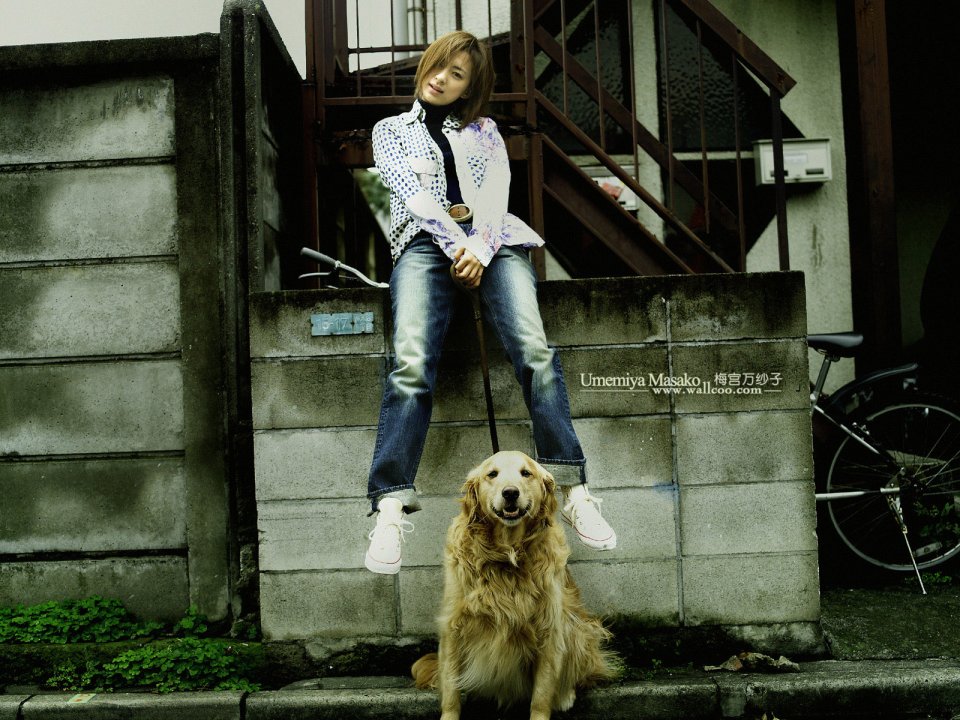 Masako Umemiya With Golden Retriever Japanese Street Portrait