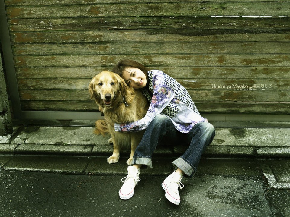 日本女星梅宫万纱子与金毛犬户外温馨合影