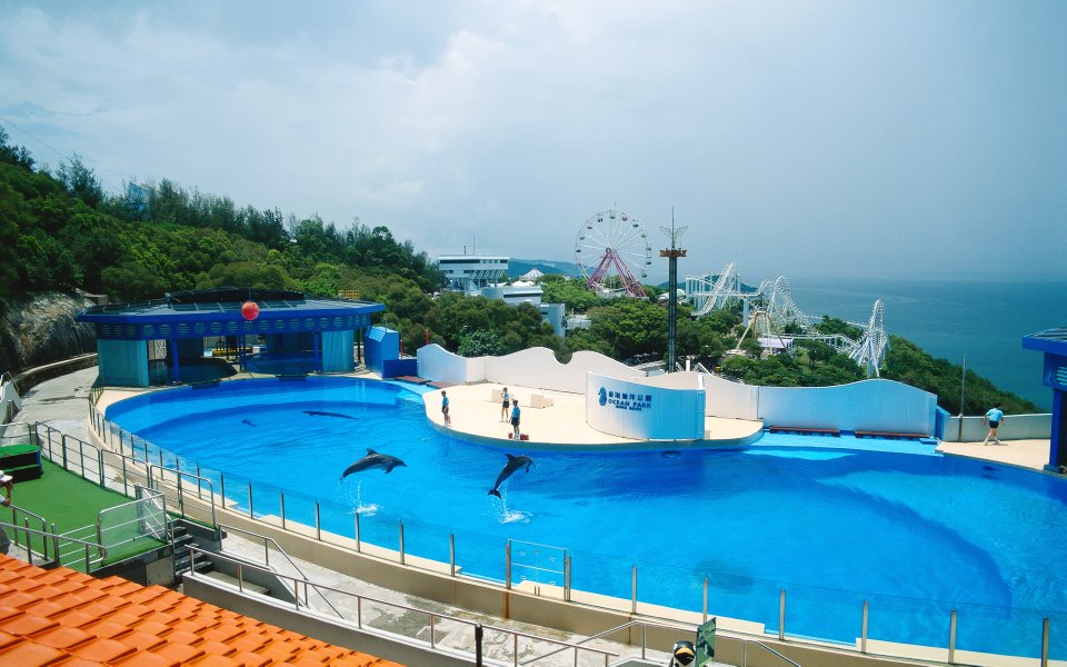 Hong Kong Ocean Park Dolphin Performance Coastal Panorama