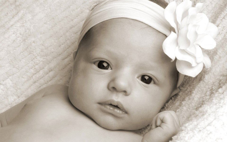 Newborn Girl Portrait With Flower Headband Monochrome Photo