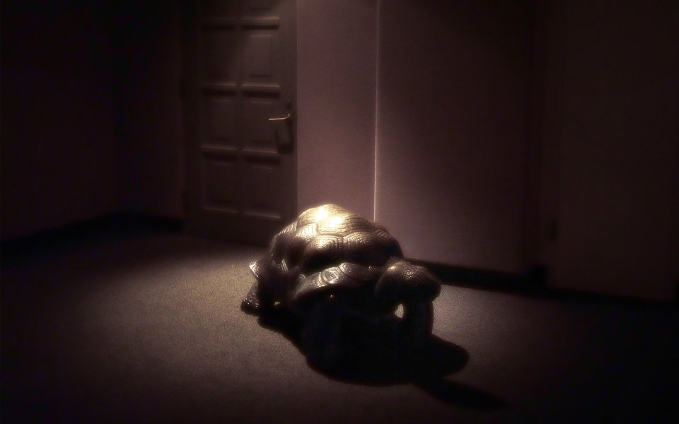 Turtle Sculpture In Dim Room