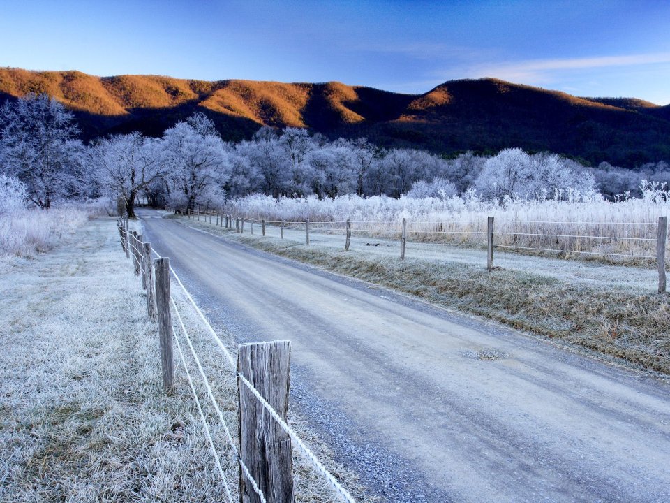 Winter Morning Sparks Lane Cades Cove Great Smoky Mountains Tennessee