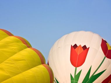 Hot Air Balloons With Tulip Pattern Under Clear Blue Sky