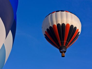 Hot Air Balloons Flying Under Clear Blue Sky