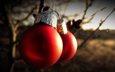 Red Christmas Baubles Hanging On Branch At Sunset