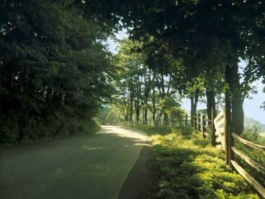 美国弗吉尼亚夏日郊野乡村自驾公路风光