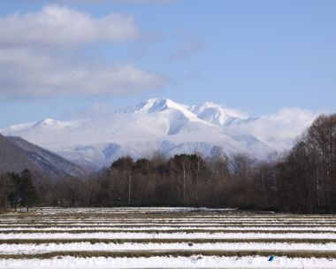 日本北海道大雪山冬季雪景