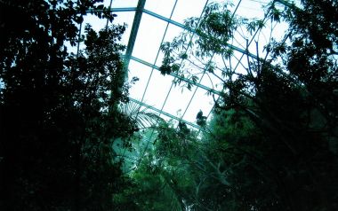 植物园玻璃温室内部景观