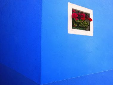 Italy Burano Island Blue Wall Window Flower Box