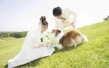 户外草坪花园婚纱照 新婚夫妇与宠物喜乐蒂牧羊犬