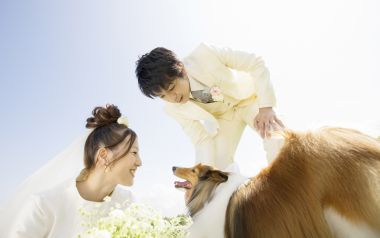 Garden Wedding Photography Bridal Couple With Dog