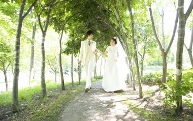 春日花园林荫道新婚情侣浪漫婚纱照