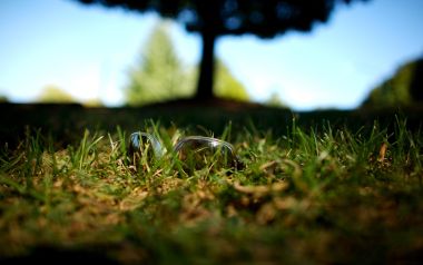 Sunglasses Left On Grass Summer Park Low Angle Photography