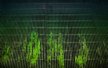 金属格栅中生长的野草