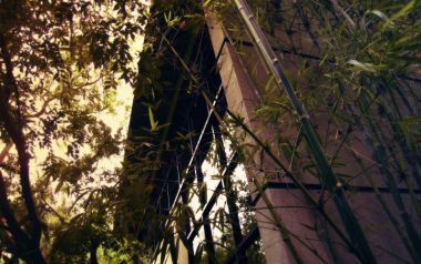 竹林掩映现代清水混凝土建筑仰拍风光