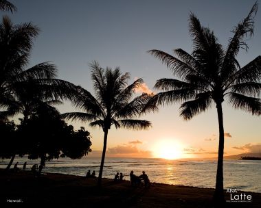 Hawaii Beach Palm Tree Sunset Silhouette
