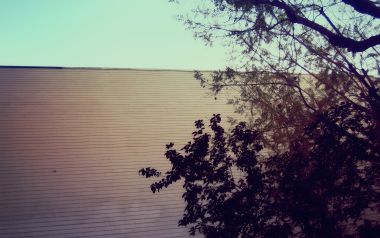 Minimalist Building Wall And Tree Silhouette